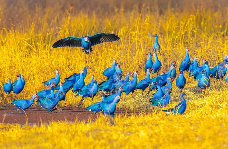 Цзяньчуань ауданында?ы Цзяньху к?л?