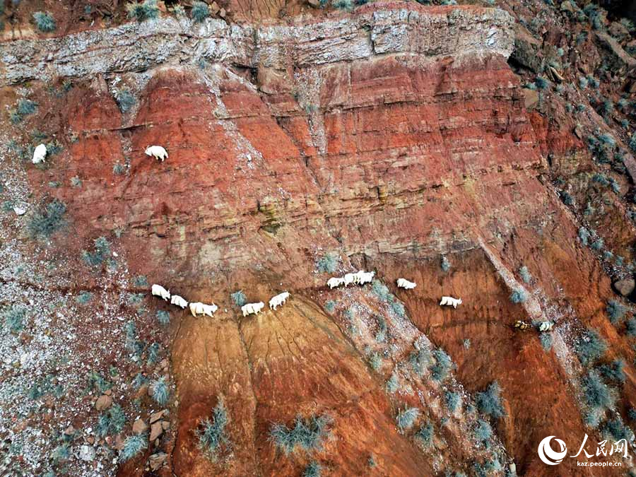 Санжы, Шы?жа?: Данься?а жау?ан ?ар туралы ?ле?дер, жартылай пейзаж, жартылай тау ж?не жартылай таулар