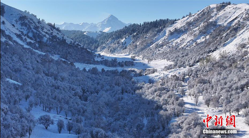 ?ардан кей?нг? К?лдене?н?? к?ркем к?р?н?с?