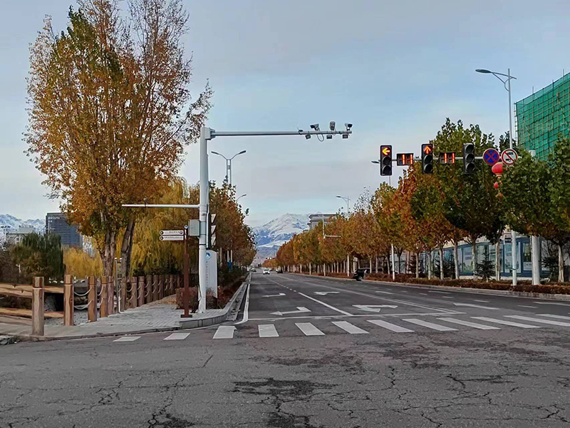 ?ор?ас порты: биыл?ы жылы 200 000-нан астам к?л?к кеденд?к р?с?мдеуден ?тт?