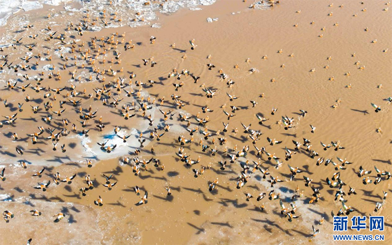 Хуанхэ ?зен?н?? ?шк? Мо???л б?л?г?нде се? ж?рд?