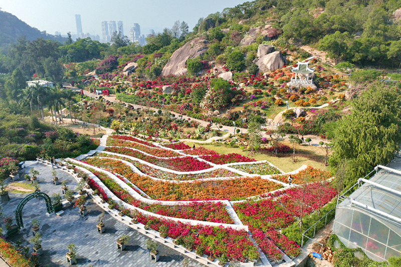 Сямэньда ?шб?рышты ?ара ?р?к ?ры? плазмасыны? ?лтты? ресурстар ?оры ашылды