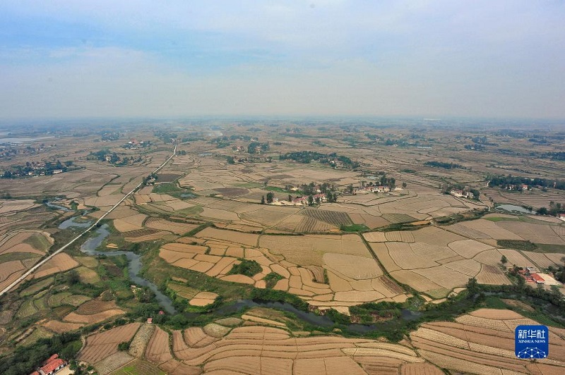 Мемлекетт?к м?дени ж?д?герлер бас?армасы ?археологиялы? ?ытай? 4 ?р? жобасын ?ске асыруда?ы ма?ызды прогресс туралы хабарлайды