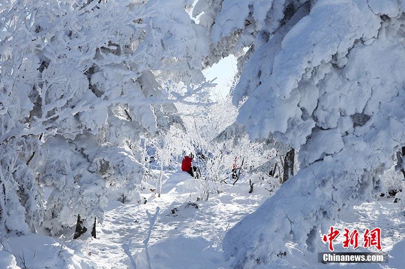 Цзилиньдег? Бэйдахуды? ?ыс?ы келбет?