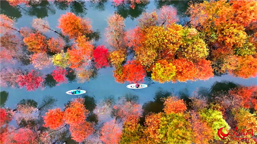 Нинго, Аньхой: Тол?ы?ан су ж?не толы?сы?ан шырша орманы