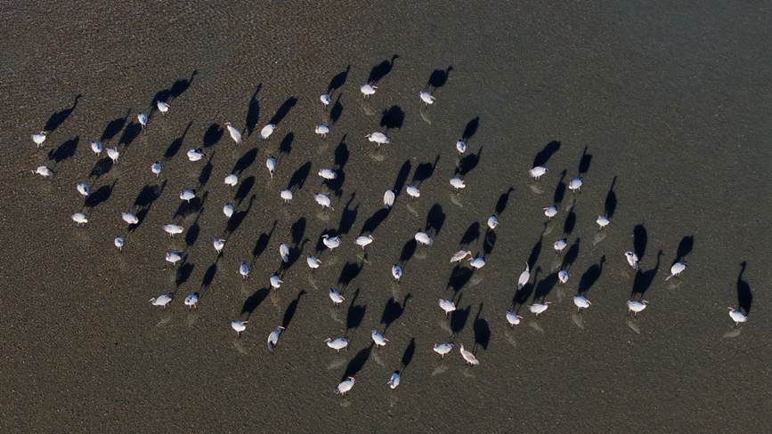 ?ара мойын тырнаны ?ор?ау ?ш?н ?олдан келгенн?? б?р?н жасау ?ажет