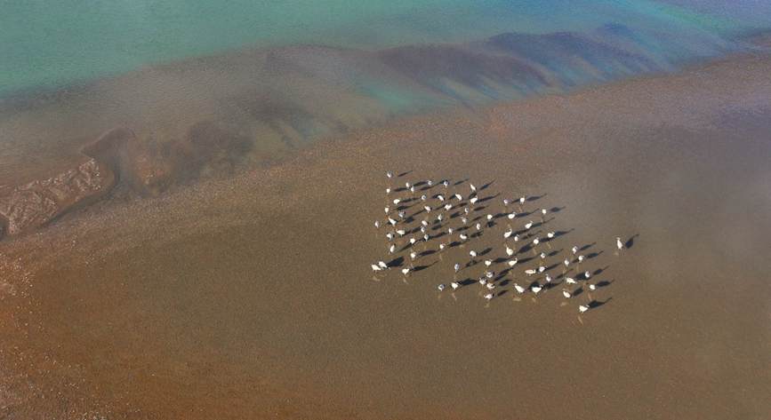 ?ара мойын тырнаны ?ор?ау ?ш?н ?олдан келгенн?? б?р?н жасау ?ажет