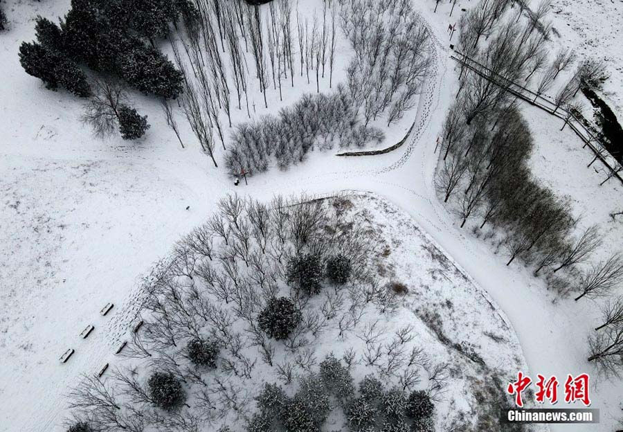 ?ытайды? солт?ст?к облыстарында ?алы? ?ар жауды