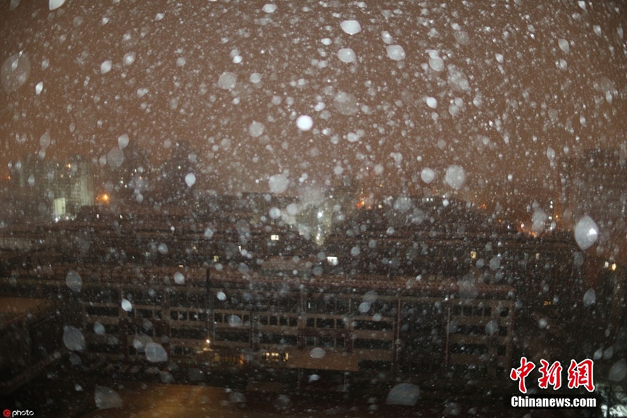 ?ытайды? солт?ст?к облыстарында ?алы? ?ар жауды