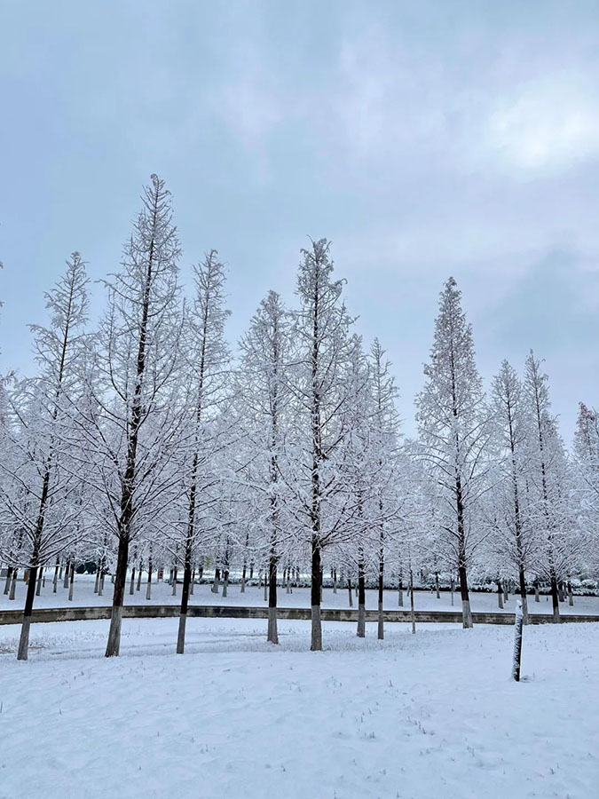 ?ытайды? солт?ст?к облыстарында ?алы? ?ар жауды