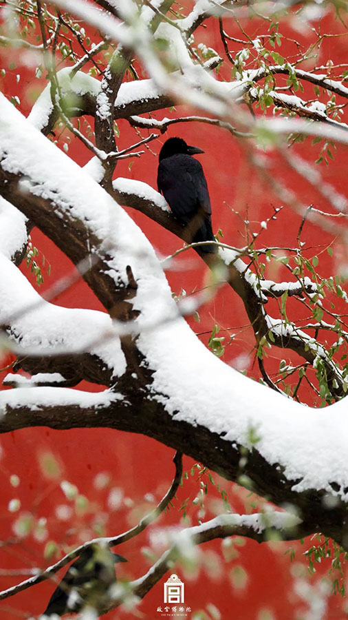 Бейж??дег? ал?аш?ы ?ар ж?не ?ар?а оран?ан Гугун сарайы