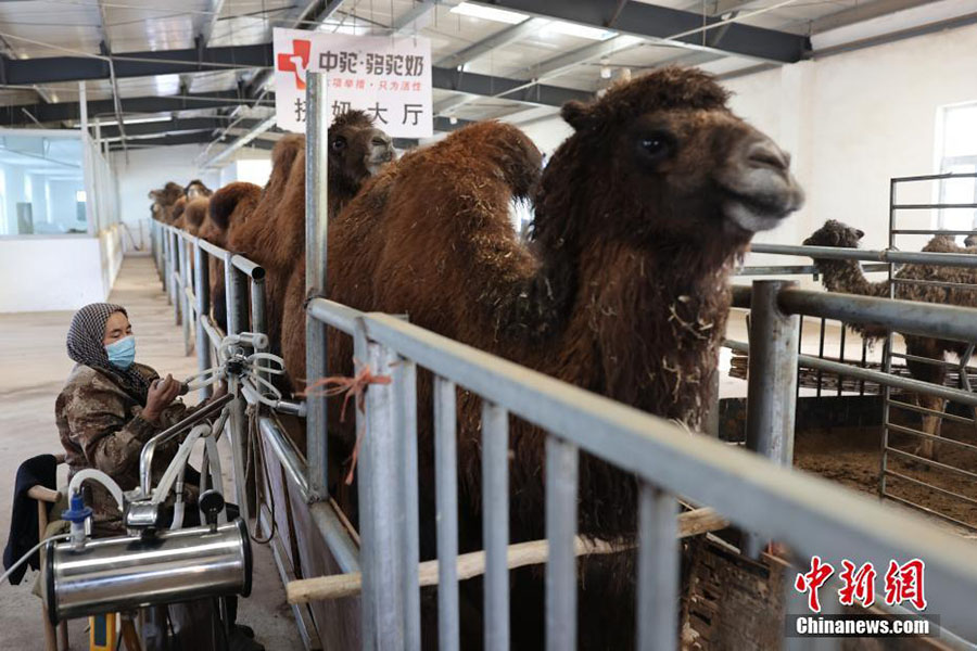 Байлы??а апаратын ?Т?йе с?т?? кооператив?