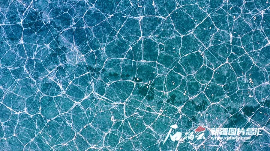 Шы?жа?да?ы ?ыс ?ажайыптары