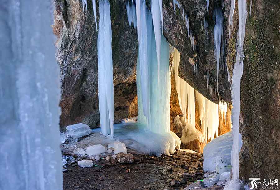 Шы?жа?да?ы ?ыс ?ажайыптары