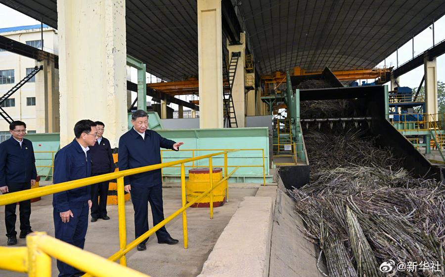 Си Цзиньпин Лайбинь ?аласында ?ант ?нерк?с?б?н?? даму жа?дайларымен танысты