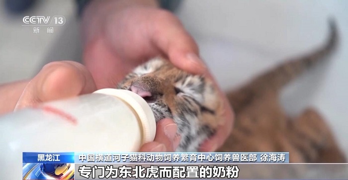 Е? ?р? Солт?ст?к-шы?ыс жолбарыс ?с?ру базасын тамашала?ыз