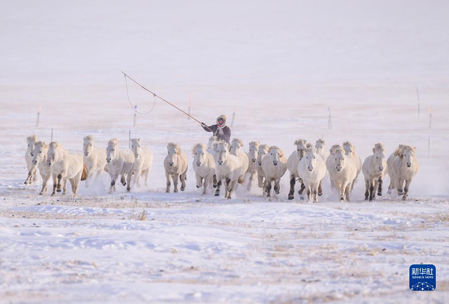 А? ?арда?ы а?боз жыл?ылар
