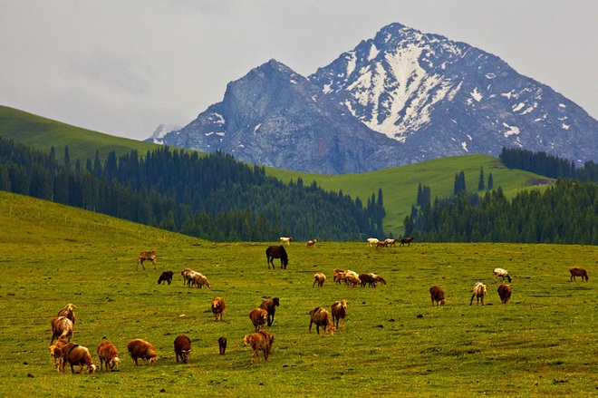 ?ытай к?р?кт? ?ытай ??рылысын жан-жа?ты ?лгер?летед?