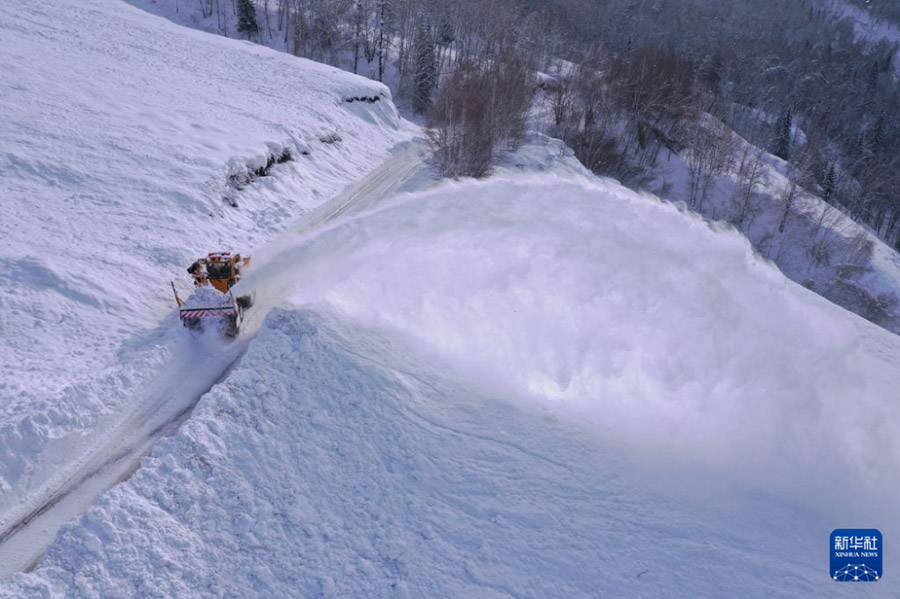 Шы?жа?ны? ?анас к?ркем аума?ыны? барлы? ???р т?р?ындары ?зара ?атынай алатын болды