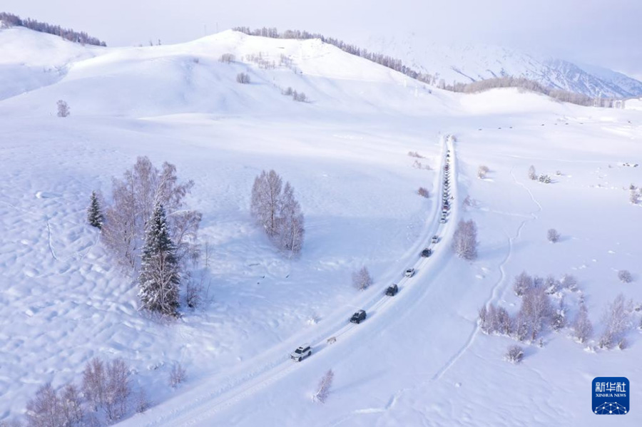 Шы?жа?ны? ?анас к?ркем аума?ыны? барлы? ???р т?р?ындары ?зара ?атынай алатын болды