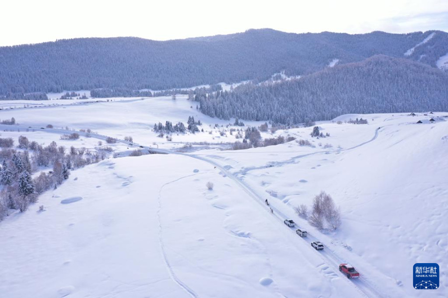Шы?жа?ны? ?анас к?ркем аума?ыны? барлы? ???р т?р?ындары ?зара ?атынай алатын болды