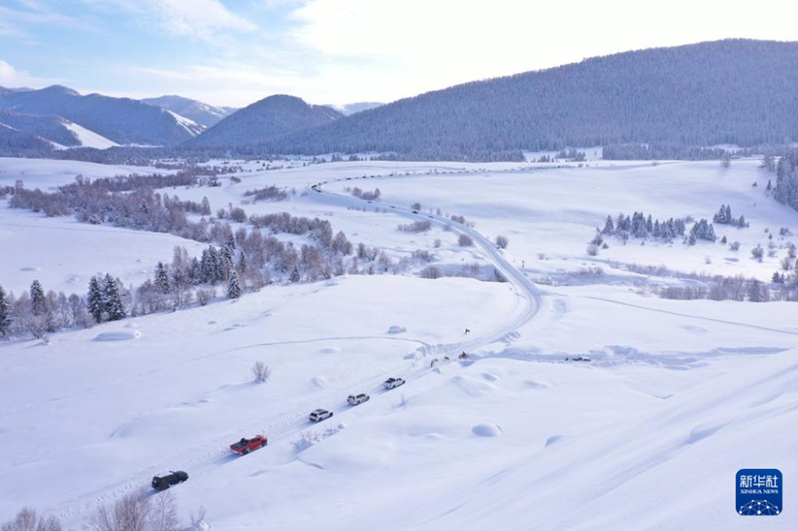 Шы?жа?ны? ?анас к?ркем аума?ыны? барлы? ???р т?р?ындары ?зара ?атынай алатын болды