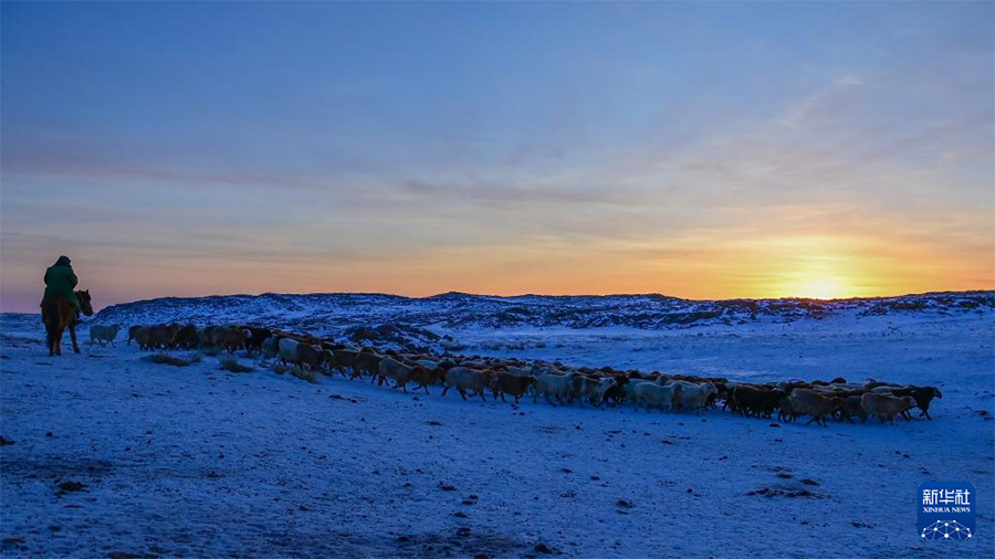 Шы?жа?да?ы заманауи мал шаруашылы?ы