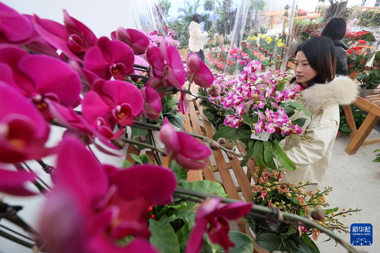 ?ытай жа?а жылыны? мерекел?к леб? ест?