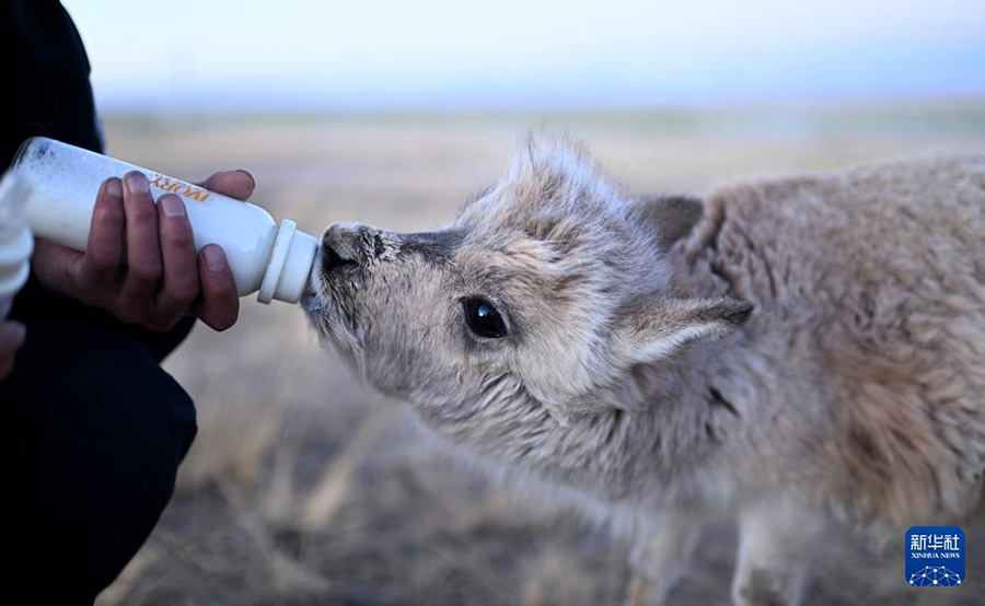 ?Сицзан б?кен? ба?шасында?ы? ?ыс?ы демалыс