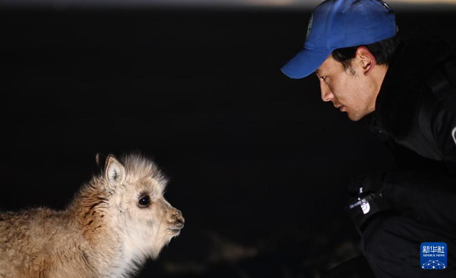 ?Сицзан б?кен? ба?шасында?ы? ?ыс?ы демалыс