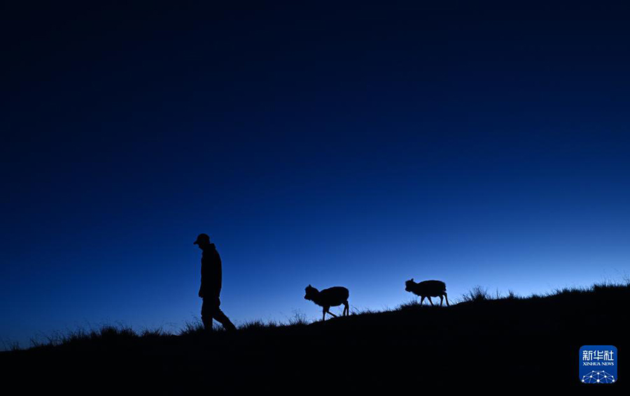 ?Сицзан б?кен? ба?шасында?ы? ?ыс?ы демалыс