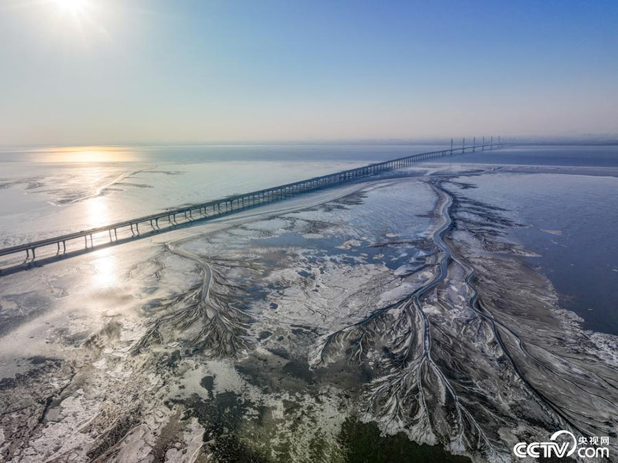 Цзясин, Чжэцзян: Цянтан ?зен?не ?ат?ан м?з алып б?йтерек бейнес?н жасады