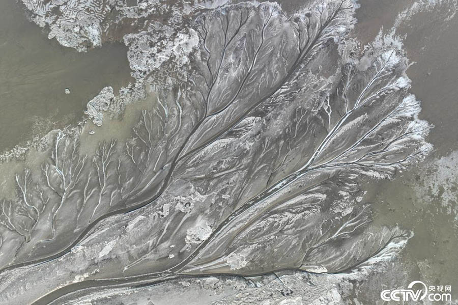 Цзясин, Чжэцзян: Цянтан ?зен?не ?ат?ан м?з алып б?йтерек бейнес?н жасады