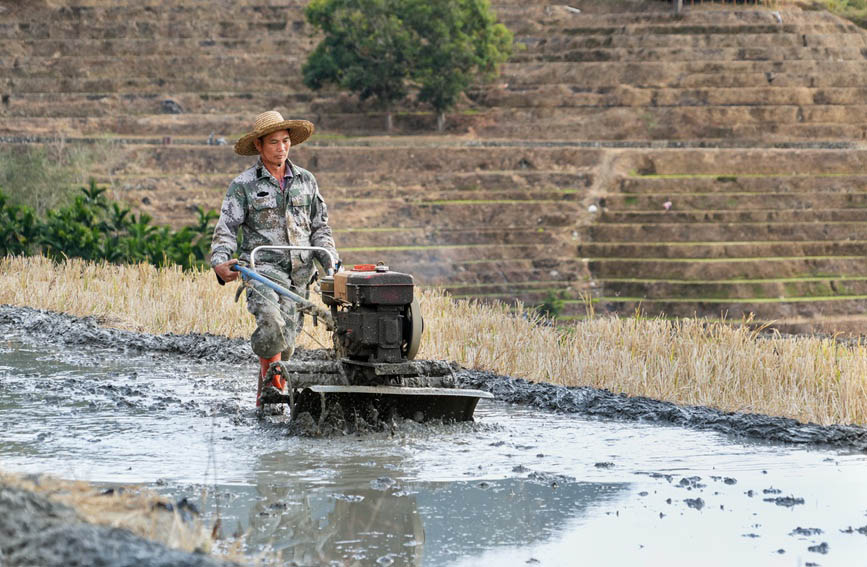 Хайнань Учжишаньда?ы Яху атызында к?ктемг? ег?н ж?мысы басталды