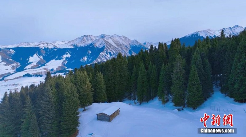 Шы?жа?ны? Шо???штай ауылыны? ?ыс?ы к?р?н?с?