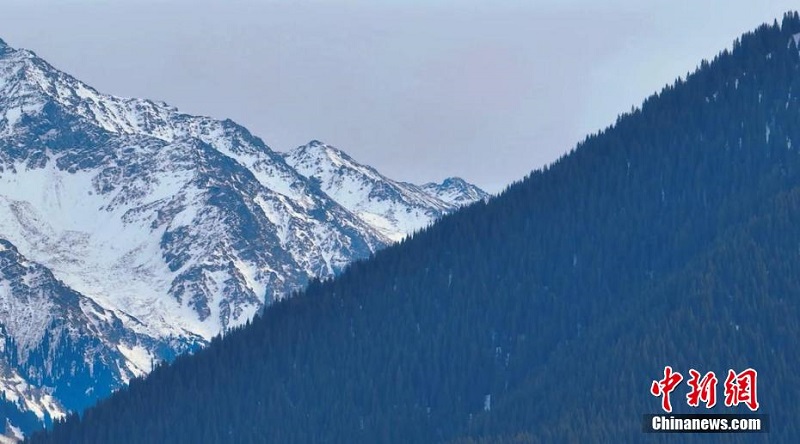 Шы?жа?ны? Шо???штай ауылыны? ?ыс?ы к?р?н?с?