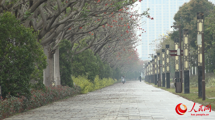 Зейт?н г?л? г?лдеген Зейт?н ?аласы