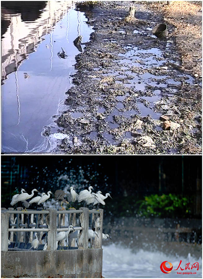 Лас судан ?аланы? жасыл ?кпес?не дей?н: Юньдан к?л?н?? керемет ?згер?с?