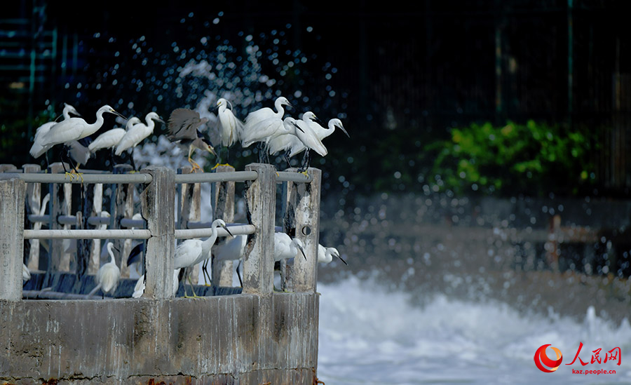 Юньдан к?л?н?? к?г?нде ?алы?та?ан а???тандар