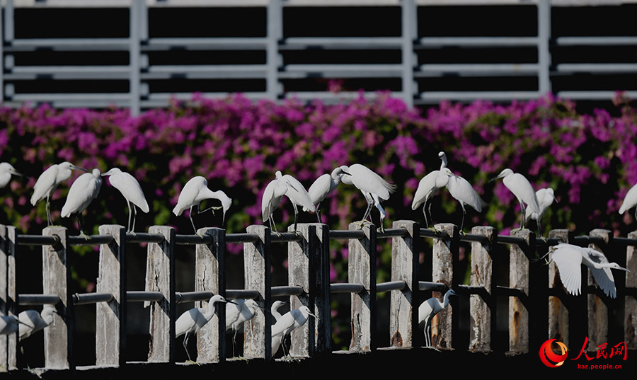 Юньдан к?л?н?? к?г?нде ?алы?та?ан а???тандар