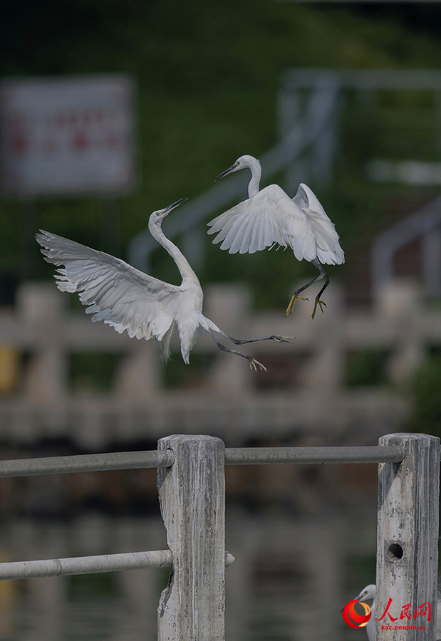 Юньдан к?л?н?? к?г?нде ?алы?та?ан а???тандар