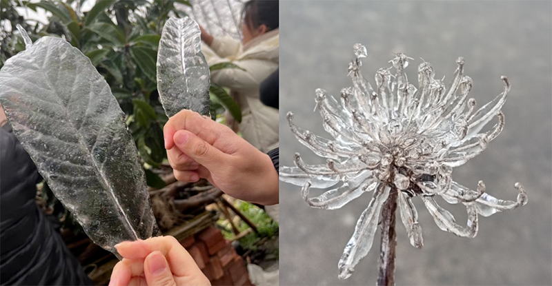 О?т?ст?кт?? к?птеген жерлер?нде суы? жа?быр жауды