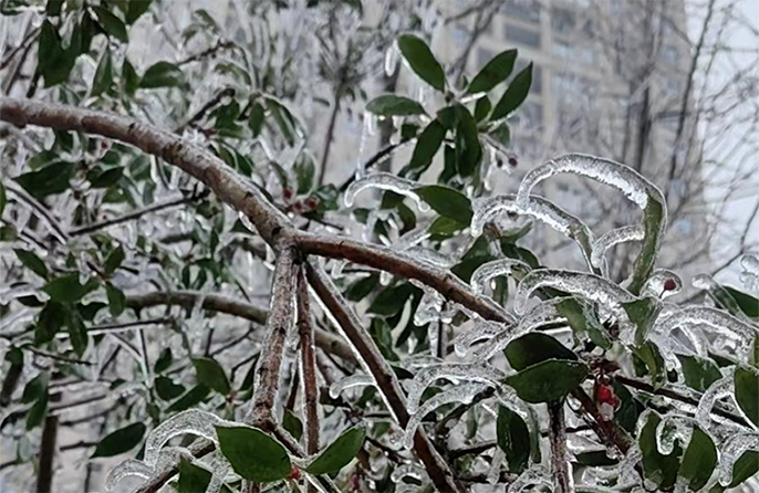 О?т?ст?кт?? к?птеген жерлер?нде суы? жа?быр жауды