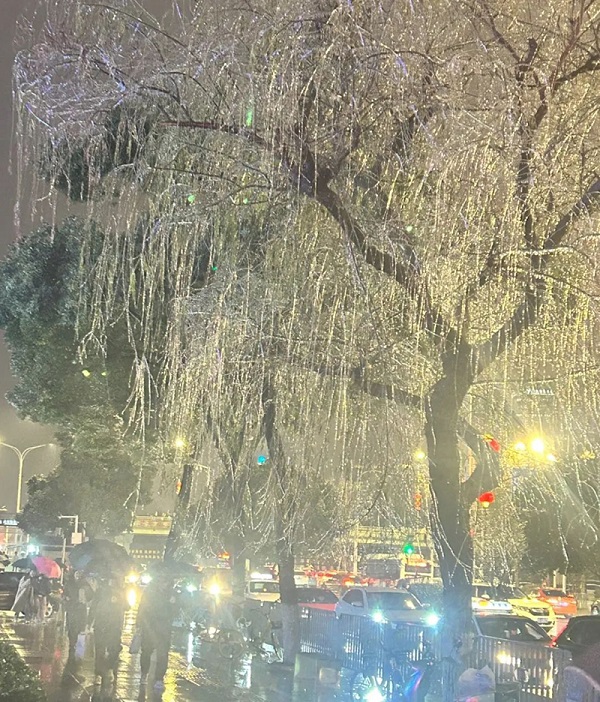 О?т?ст?кт?? к?птеген жерлер?нде суы? жа?быр жауды