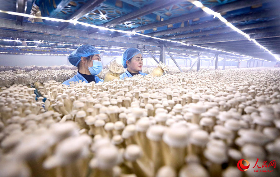 Мерекел?к демалыстан кей?н ?нд?р?с ?ауырт басталды