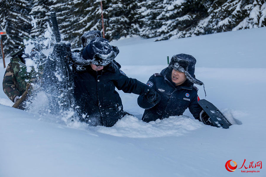 К?кто?ай, Шы?жа?: б?р метрл?к ?арда?ы табандылы?