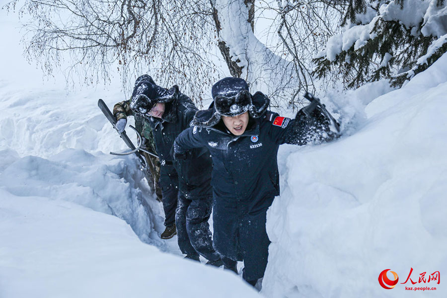 К?кто?ай, Шы?жа?: б?р метрл?к ?арда?ы табандылы?