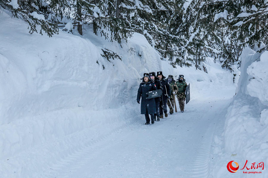 К?кто?ай, Шы?жа?: б?р метрл?к ?арда?ы табандылы?