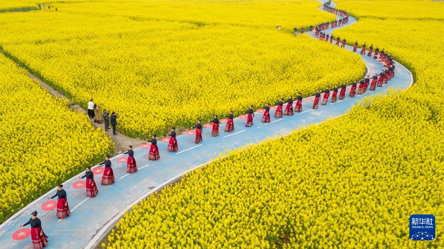 4 наурызда Сычуань ?лкес?н?? Мейшань ?аласы, Пэншань аума?ы, ?Уху Сихай? сулы-батпа?ты Саяба?ыны? рапс г?лдер? ал?абында Мейшань ?алалы? ?арттар университет?н?? 100-ден астам ханфу ?уес?ойы подиумда ?нер к?рсетт?.