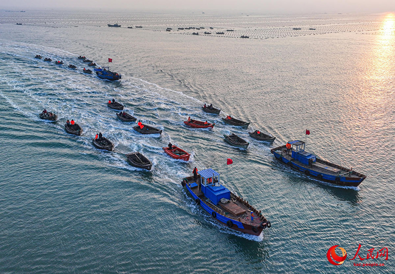 Шаньдун Жунчэнда балдырлардан мол ?н?м алынды